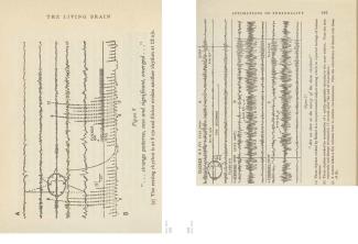 reports from/without architecture Ansichten buch_doppelseiten_seite_09