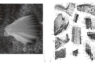 reports from/without architecture Ansichten buch_doppelseiten_seite_13