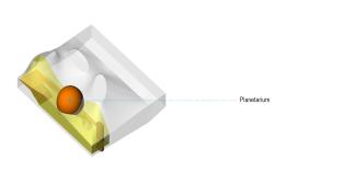 SI-diagrams_version_2_42_C